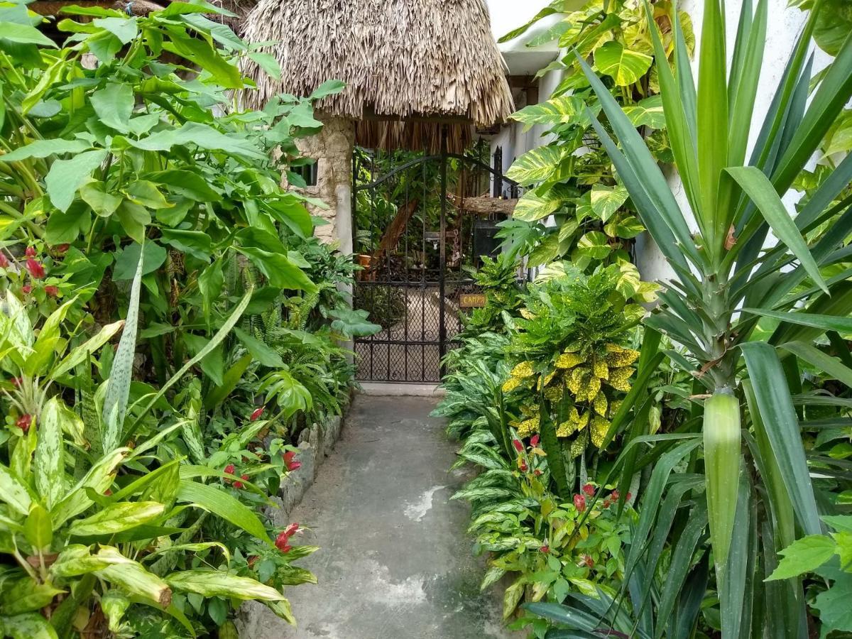 Hotel Casitas Kinsol Puerto Morelos Exterior foto
